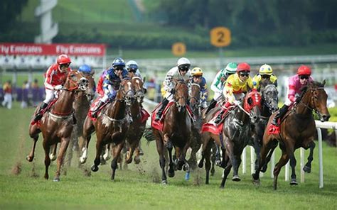 Citibet Explained: Everything You Need to Know Before Betting.